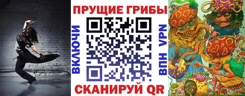 наркотики  Пятигорск  Галлюциногенные грибы Psilocybine cubensis 